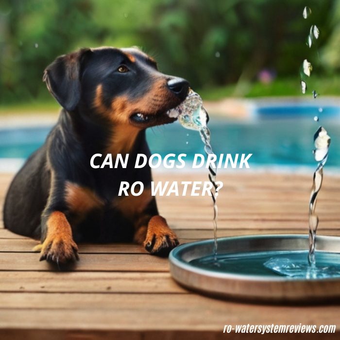 Can Dogs Drink RO Water?